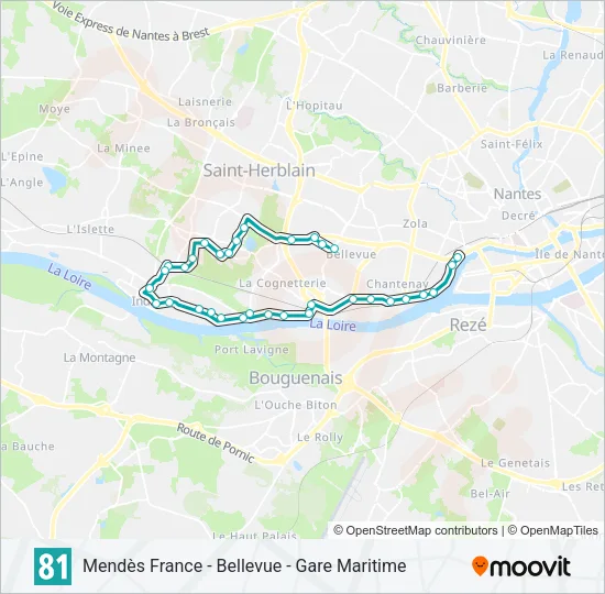 81 Bus Line Map
