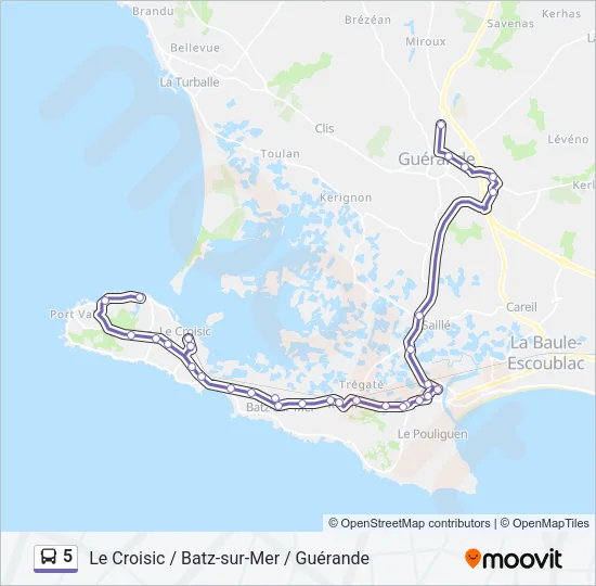 5 Bus Line Map