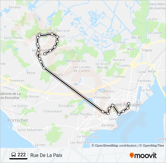 222 Bus Line Map