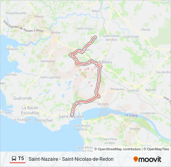 T5 Bus Line Map