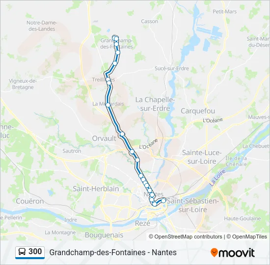 300 Bus Line Map