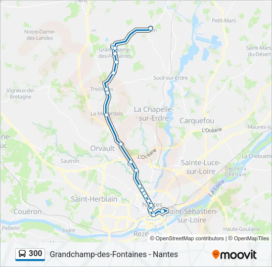 300 Bus Line Map