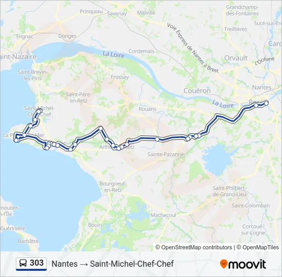303 Bus Line Map