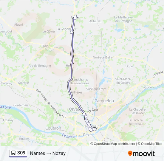 309 Bus Line Map