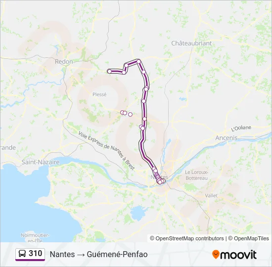 310 Bus Line Map