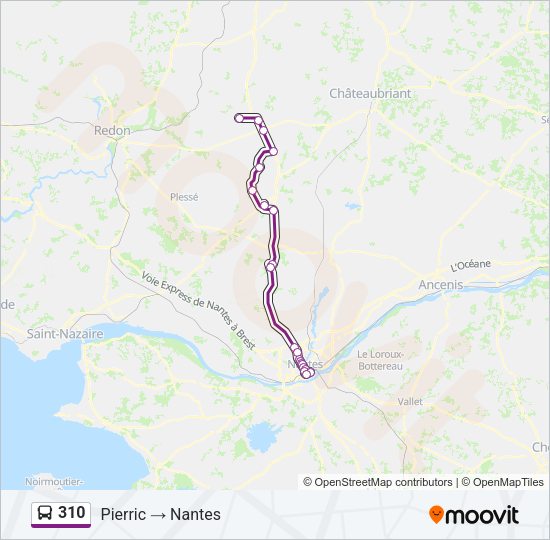 Plan de la ligne 310 de bus