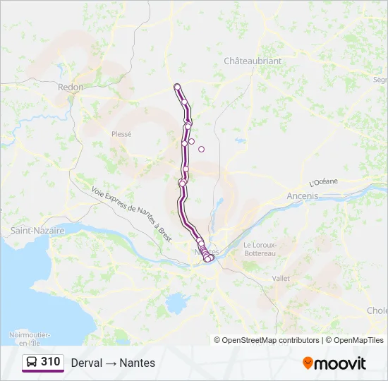 310 Bus Line Map