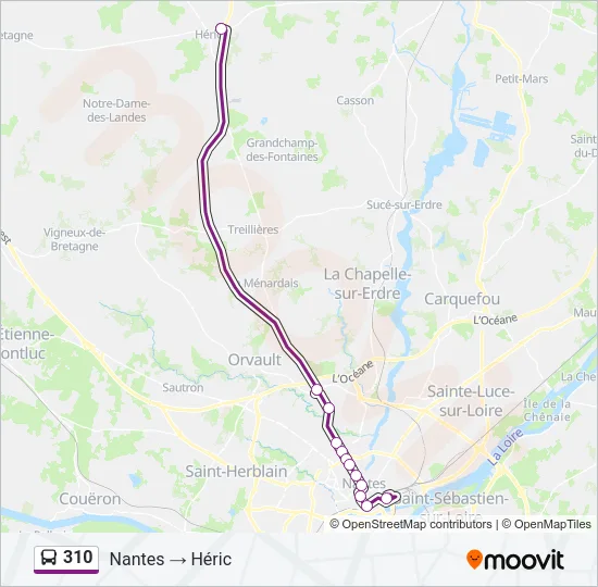 310 Bus Line Map