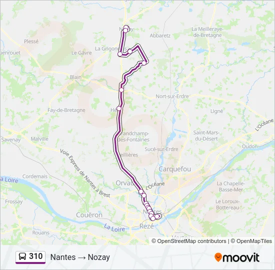 310 Bus Line Map