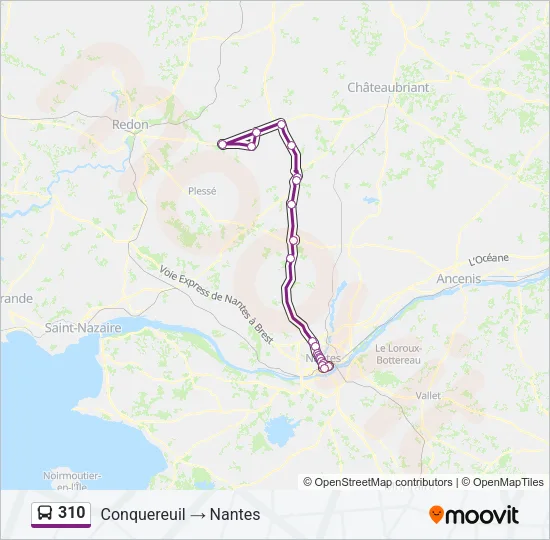 310 Bus Line Map