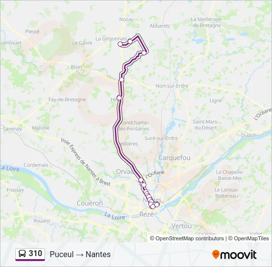 310 Bus Line Map