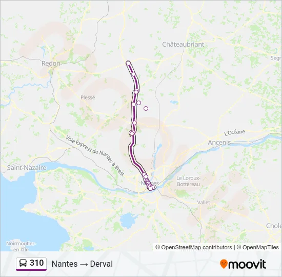 310 Bus Line Map
