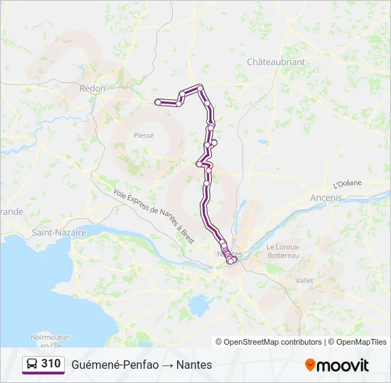 310 Bus Line Map