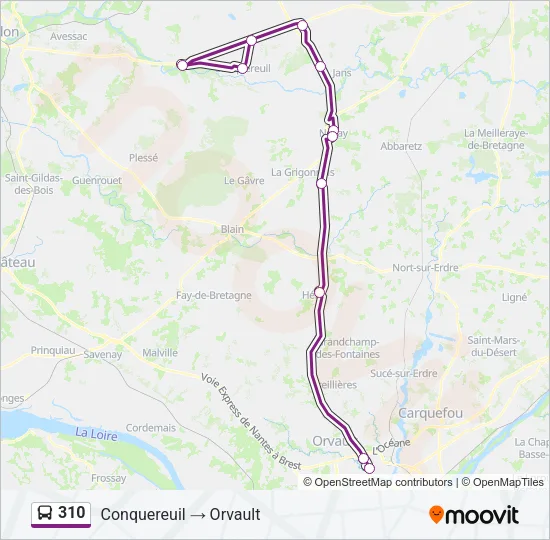 310 Bus Line Map