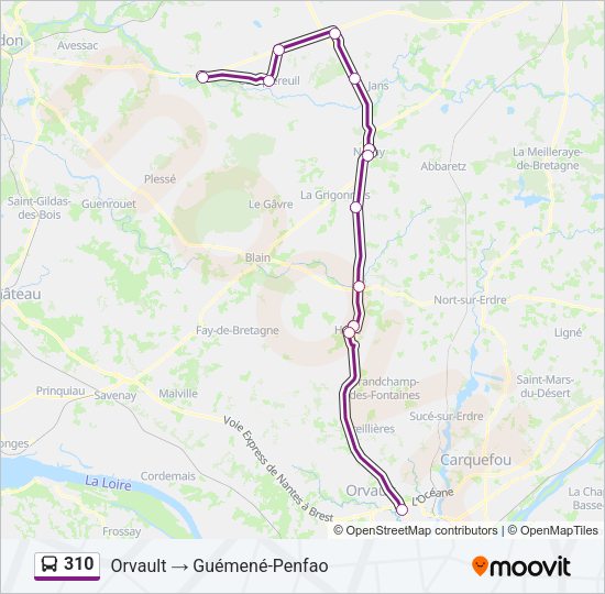 Plan de la ligne 310 de bus