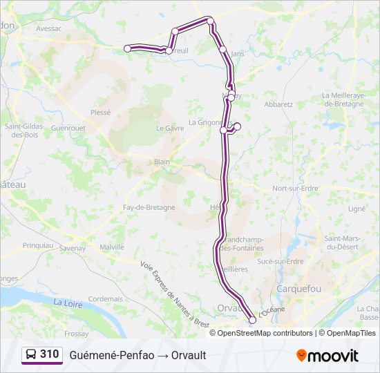 Plan de la ligne 310 de bus