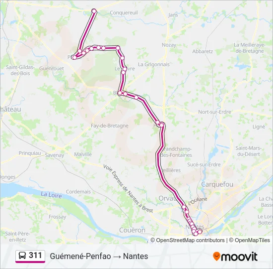 311 Bus Line Map