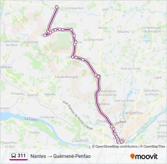 311 Bus Line Map