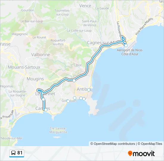 81 Bus Line Map