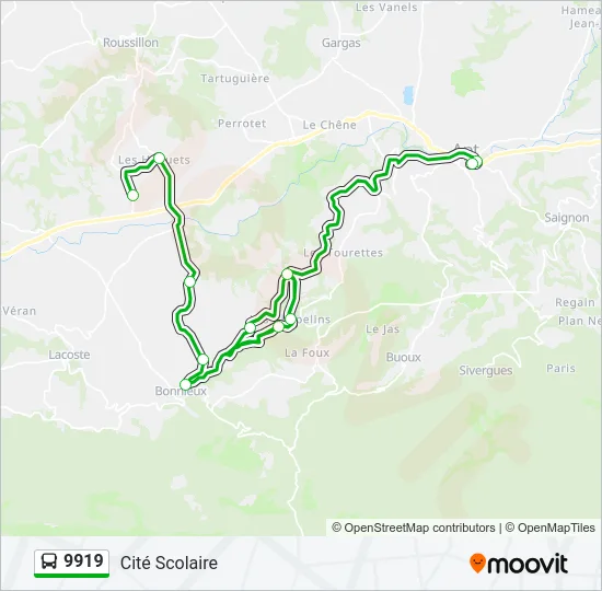 9919 Bus Line Map