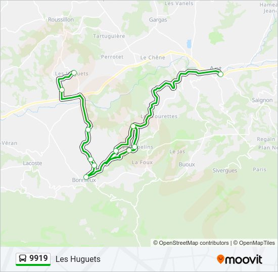 Plan de la ligne 9919 de bus