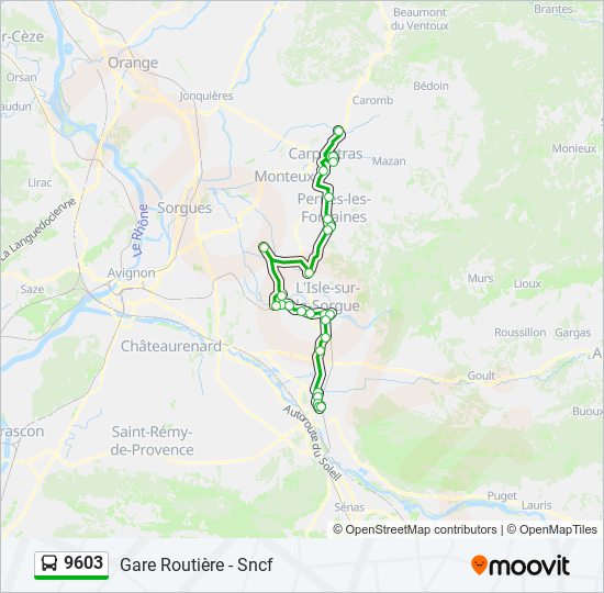 9603 bus Line Map