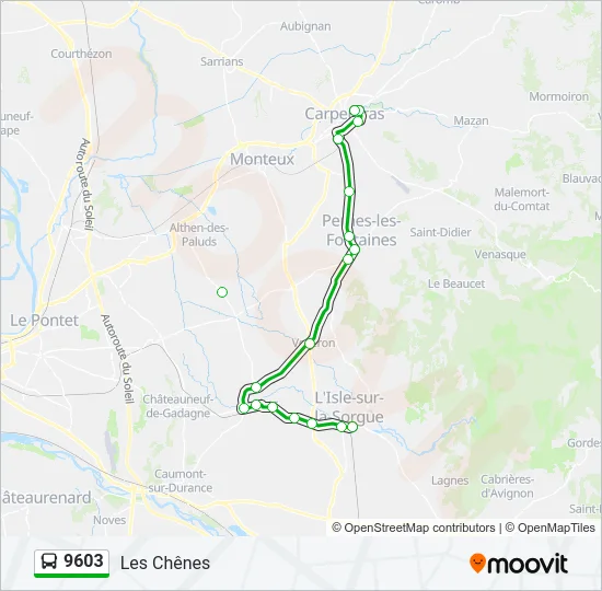9603 Bus Line Map
