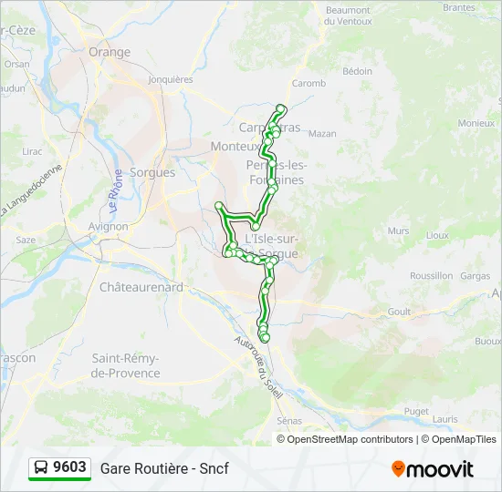 9603 Bus Line Map