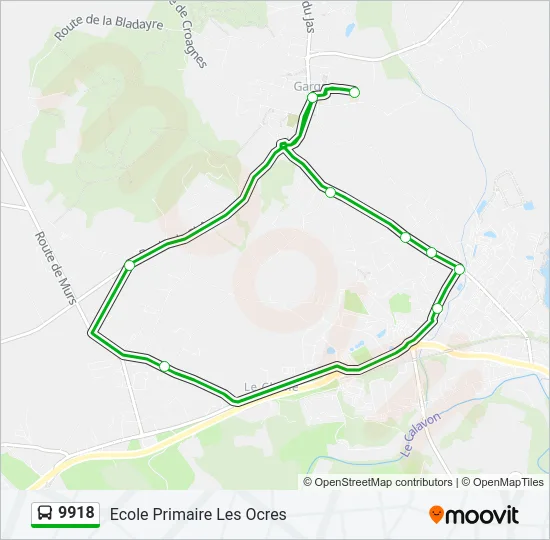 9918 Bus Line Map