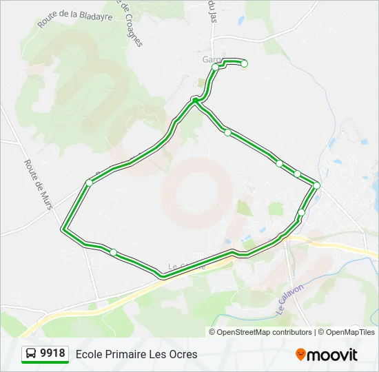 9918 Bus Line Map