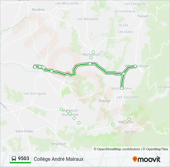 9503 Bus Line Map