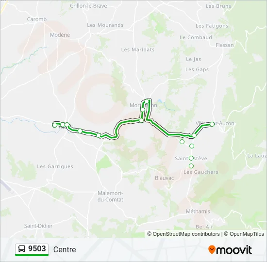 9503 Bus Line Map