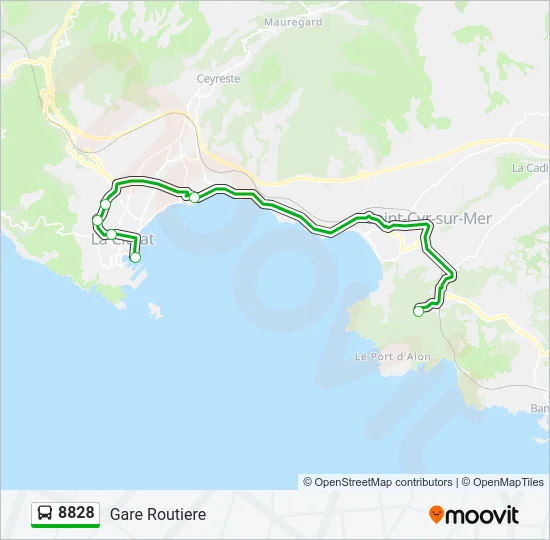 8828 Bus Line Map