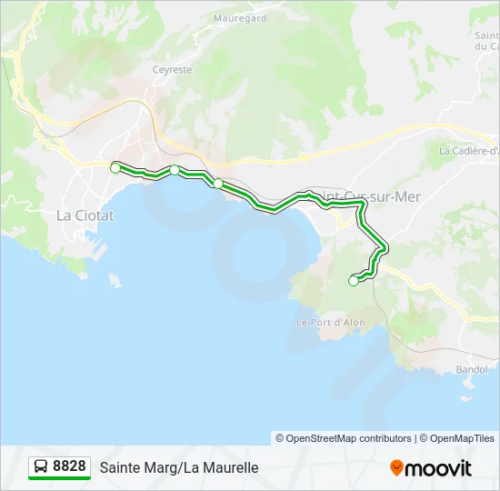 8828 Bus Line Map