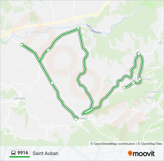 9916 Bus Line Map