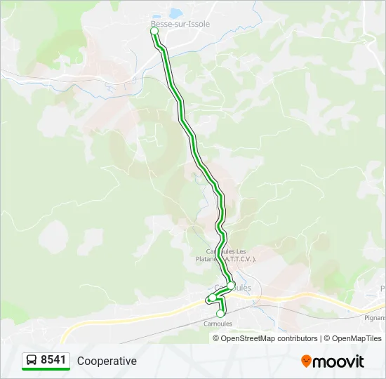 8541 Bus Line Map
