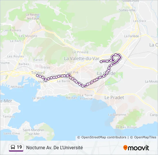 19 Bus Line Map