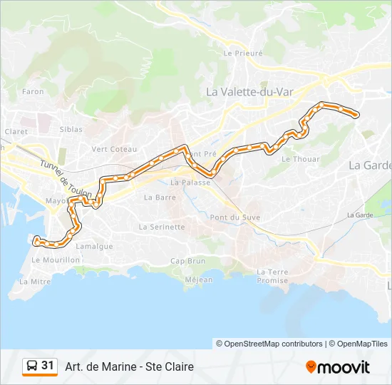 31 Bus Line Map