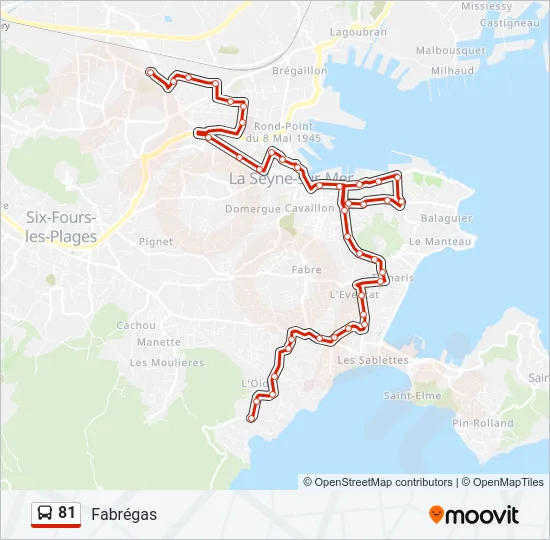 81 Bus Line Map
