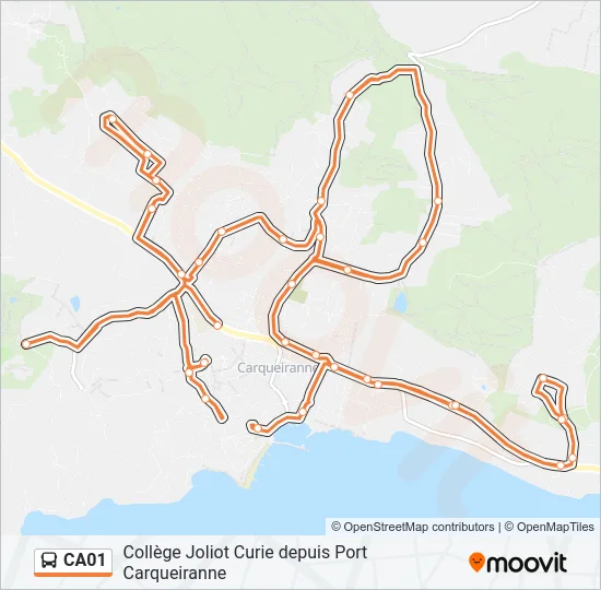 CA01 Bus Line Map