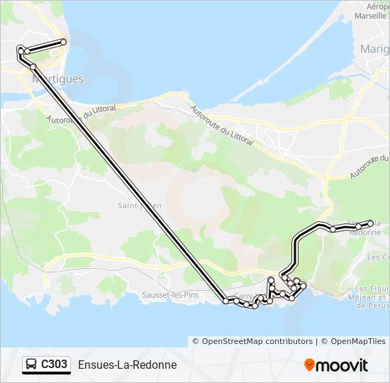 C303 bus Line Map