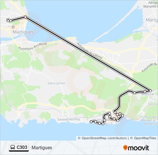C303 bus Line Map