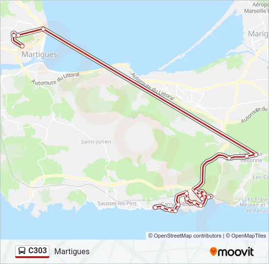 C303 Bus Line Map