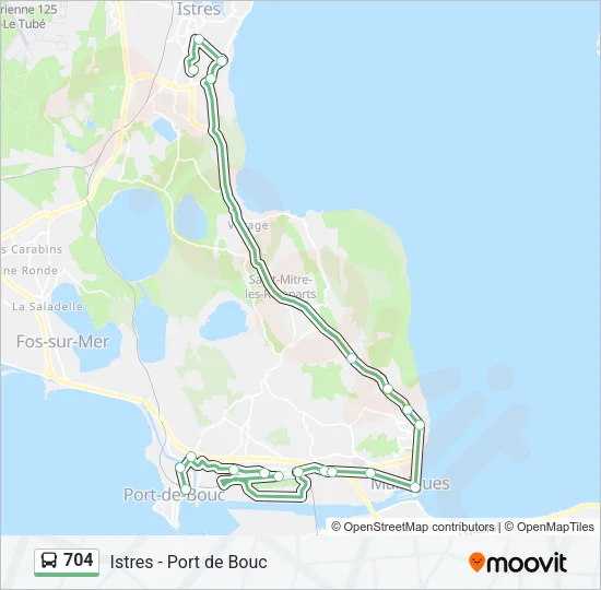 704 Bus Line Map