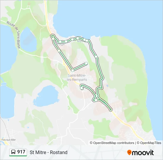 917 Bus Line Map