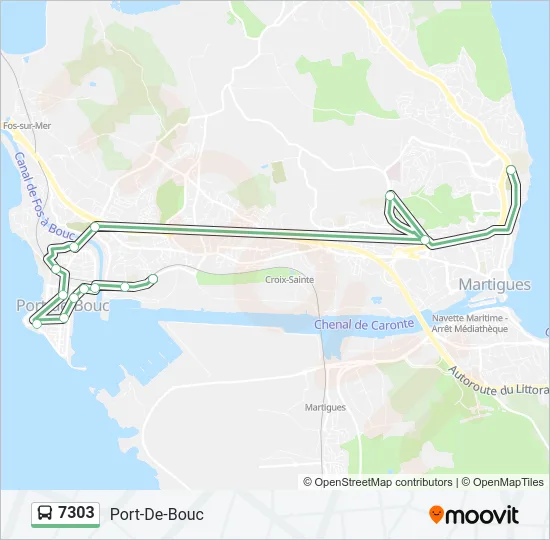 7303 Bus Line Map