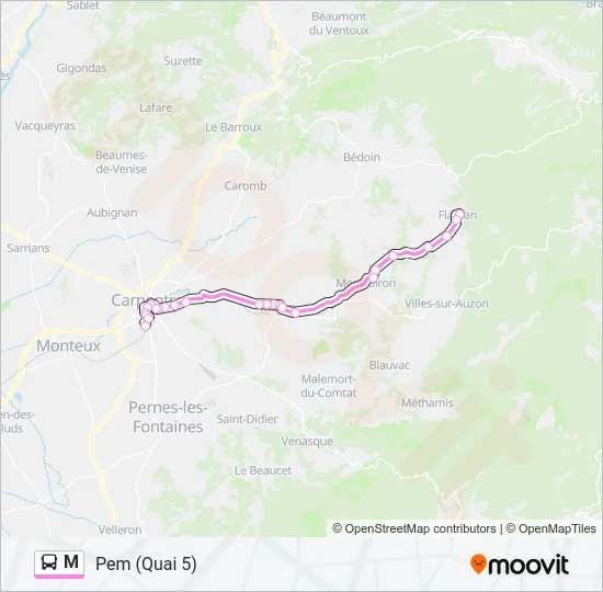M Bus Line Map