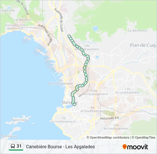 31 Bus Line Map