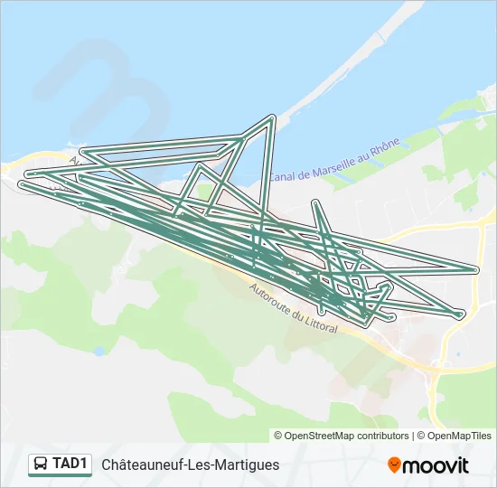 TAD1 Bus Line Map