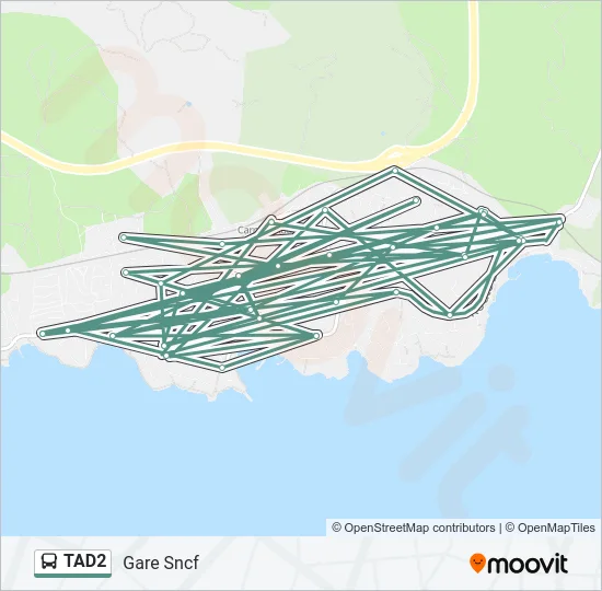 TAD2 Bus Line Map